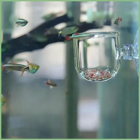 Cốc Cho Cá Ăn Cốc Cho Cá Ăn