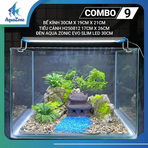 Combo Hồ Cá Mini