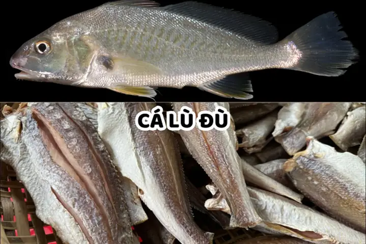 Con Cá Lù Đù Con Cá Lù Đù