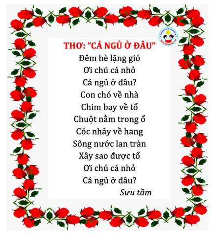Con Cá Ngủ Ở Đâu Con Cá Ngủ Ở Đâu