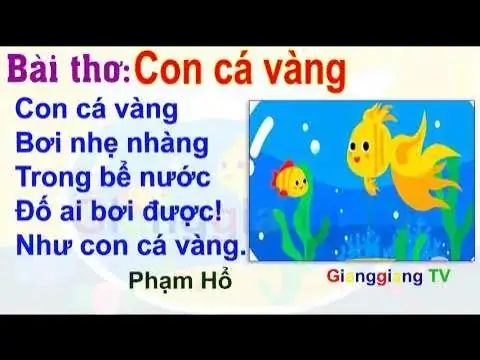 Con Cá Vàng Bơi Nhẹ Nhàng