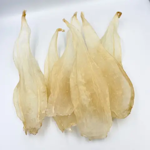 Công Dụng Của Cá Sủ Vàng