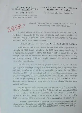 Công Ty Cổ Phần Sài Gòn Cá Kiểng Công Ty Cổ Phần Sài Gòn Cá Kiểng