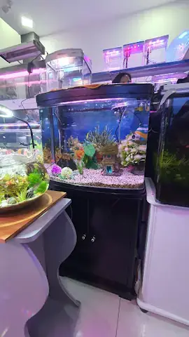 Cửa Hàng Cá Cảnh Biển