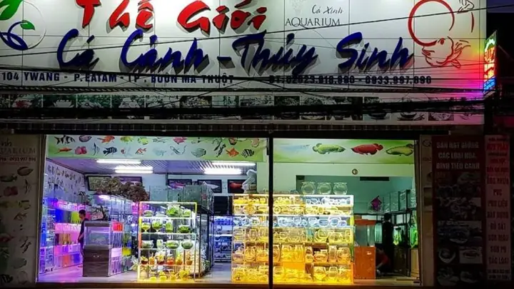 Cửa Hàng Cá Cảnh Dân Việt