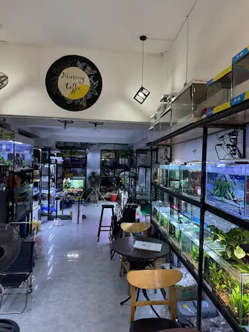 Cửa Hàng Cá Cảnh Huệ Hoàn