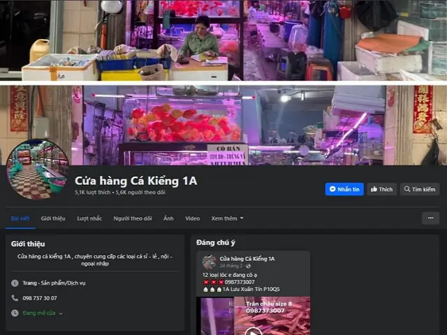 Cửa Hàng Cá Kiểng 1a Cửa Hàng Cá Kiểng 1a