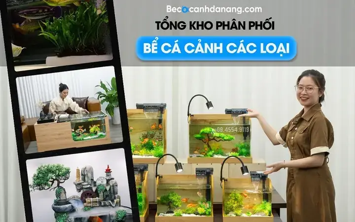 Đại Lý Cá Cảnh