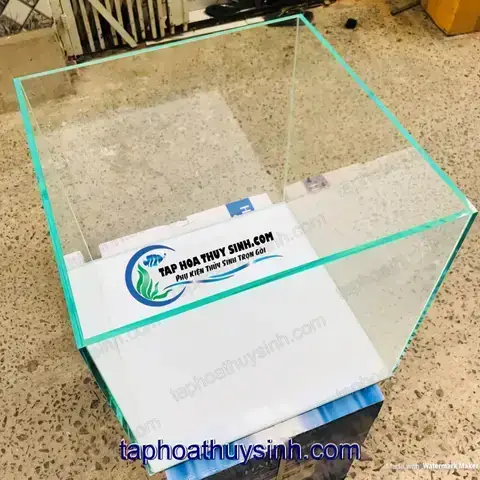 Đặt Làm Bể Cá Theo Yêu Cầu