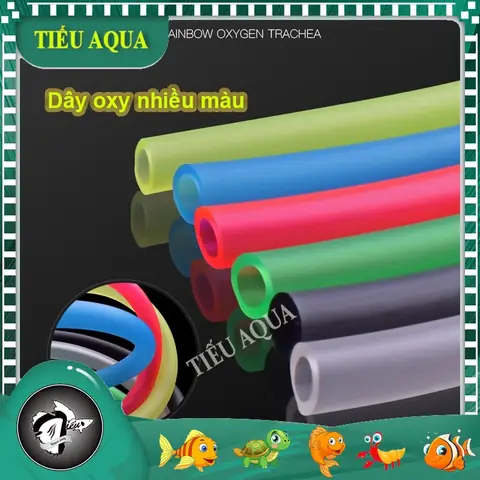 Dây Oxy Hồ Cá