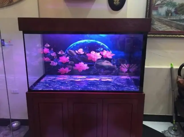 Decal 3d Dán Kính Hồ Cá Decal 3d Dán Kính Hồ Cá