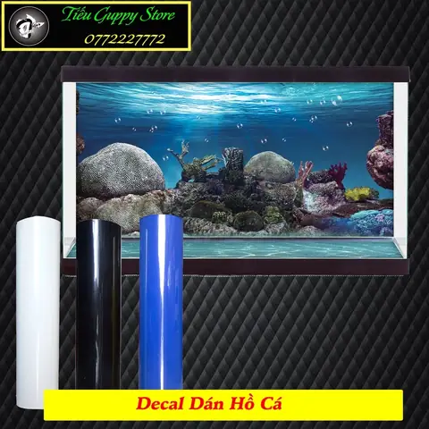 Decal Dán Hồ Cá Tphcm Decal Dán Hồ Cá Tphcm