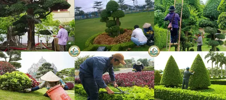 Dịch Vụ Chăm Sóc Bể Cá Cảnh Tại Hà Nội
