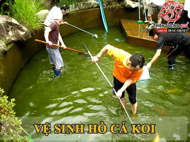 Dịch Vụ Vệ Sinh Hồ Cá Tại Tphcm