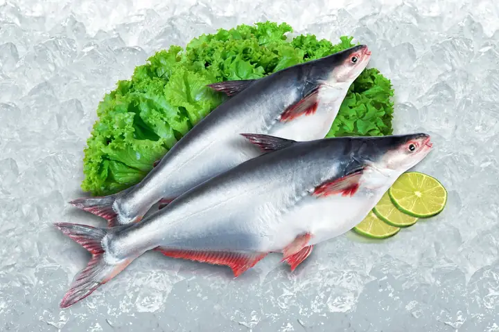 Dinh Dưỡng Trong Cá Basa