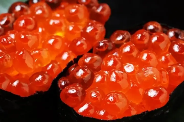 Dinh Dưỡng Trong Trứng Cá Dinh Dưỡng Trong Trứng Cá