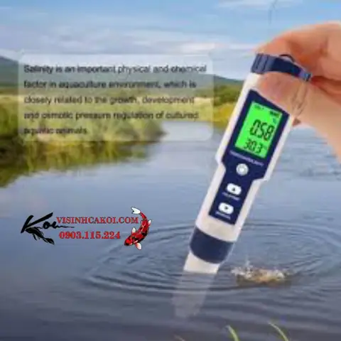 Độ Ph Hồ Cá Koi