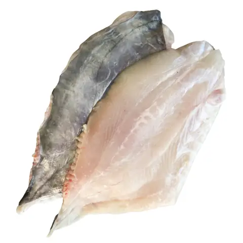 Dory Fish Là Cá Gì Dory Fish Là Cá Gì