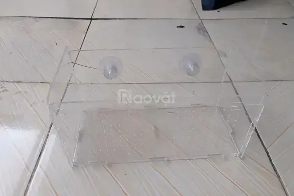 Giá Bán Hồ Cá