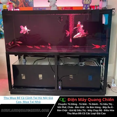 Giá Bể Cá Cảnh Hà Nội