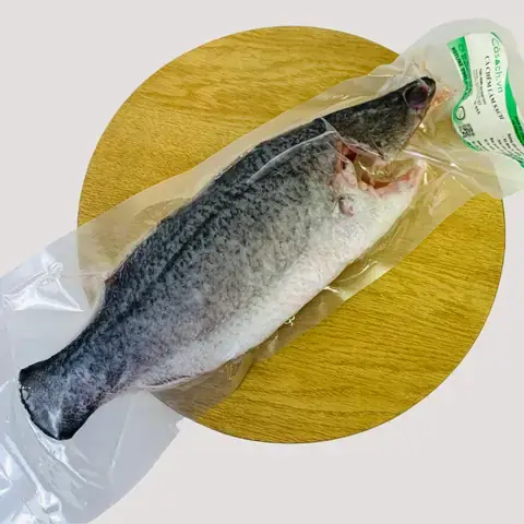 Giá Cá Chẽm Hiện Nay