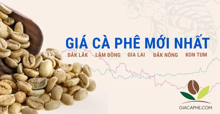 Giá Cá Hôm Nay