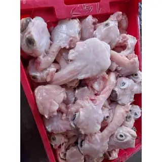 Giá Cá Nóc Nhím