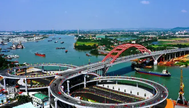 Giá Cá Rồng Tại Hải Phòng