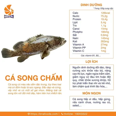 Giá Cá Song Hoa