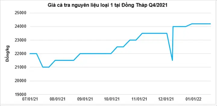 Giá Cá Tra Hiện Nay