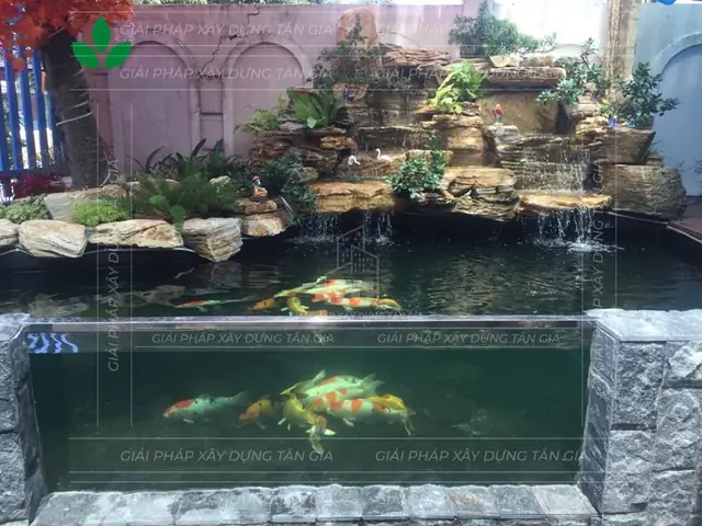 Giá Hồ Cá Kính Cường Lực