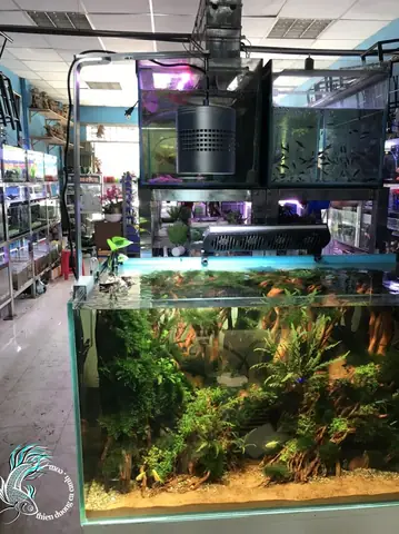 Giá Treo Đèn Hồ Cá Giá Treo Đèn Hồ Cá