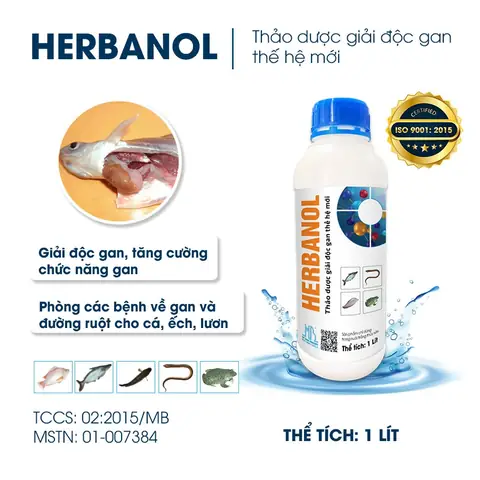 Giải Độc Gan Cho Cá