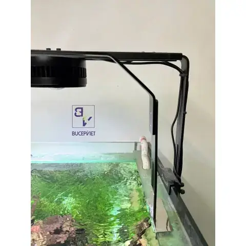 Giằng Bể Cá La Gì Giằng Bể Cá La Gì