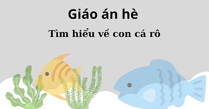 Giáo Án Tìm Hiểu Về Con Cá