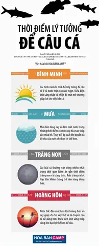 Giờ Cá Đi Ăn