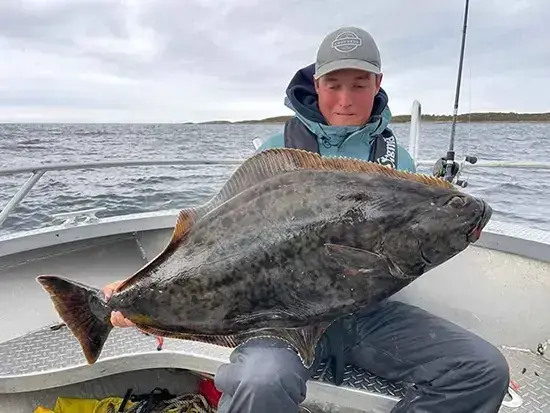 Halibut Fish Là Cá Gì