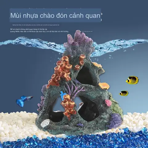 Hang Trú Ẩn Cho Cá