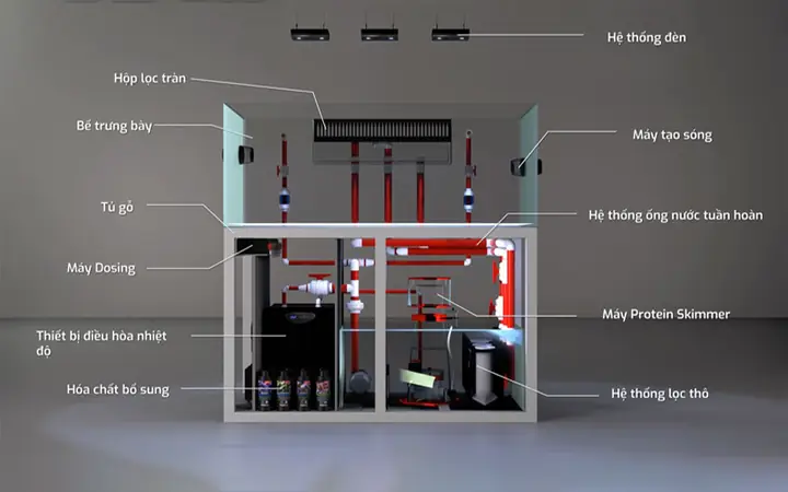 Hệ Thống Lọc Cho Bể Cá Nước Mặn