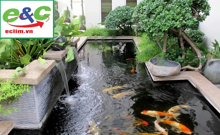 Hệ Thống Lọc Nước Be Cá