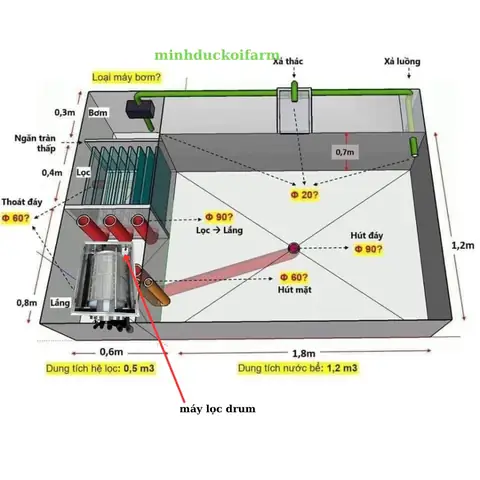 Hệ Thống Lọc Nước Hồ Cá