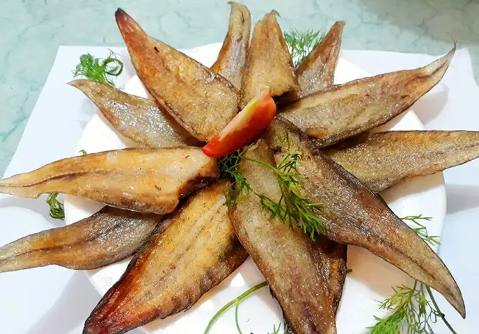 Hình Ảnh Cá Bơn