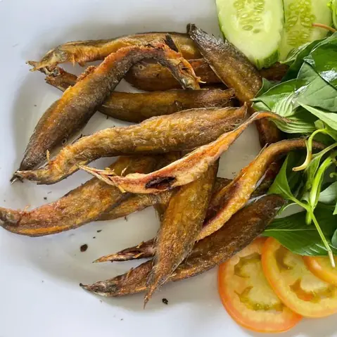 Hình Ảnh Cá Chạch