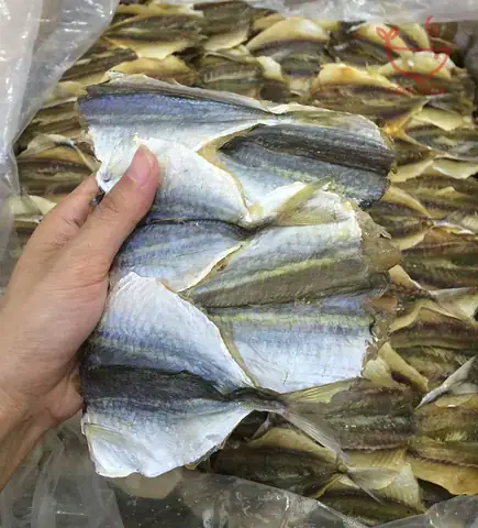 Hình Ảnh Cá Chi Chi
