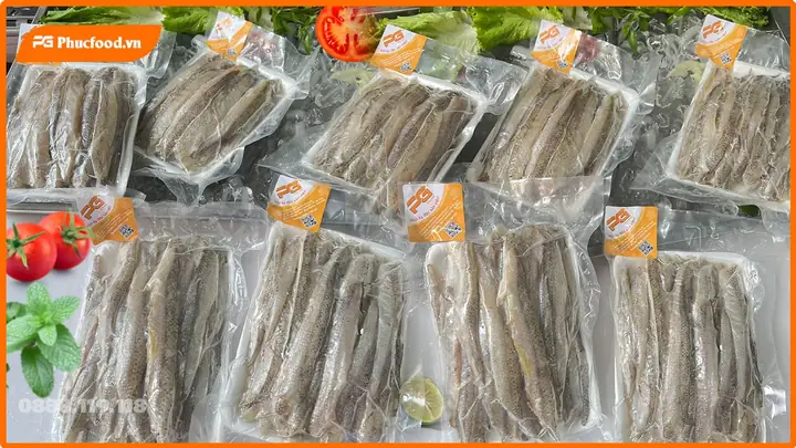 Hình Ảnh Cá Mối