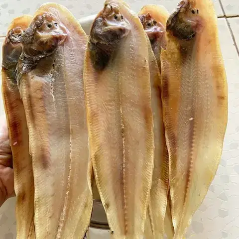 Hình Ảnh Cá Thờn Bơn
