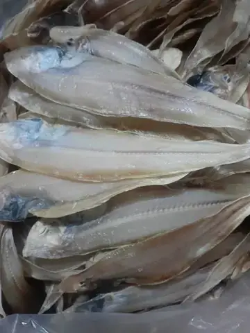 Hình Ảnh Con Cá Thờn Bơn
