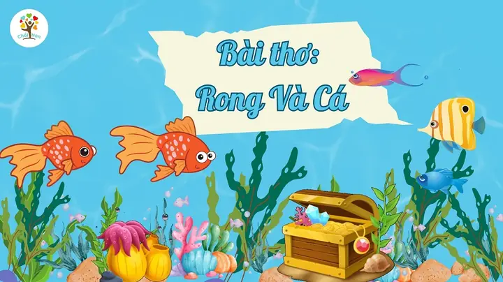 Hình Ảnh Rong Và Cá
