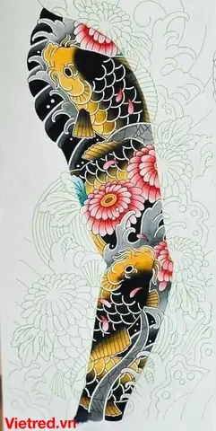 Hình Cá Chép Đẹp Nhất Hình Cá Chép Đẹp Nhất