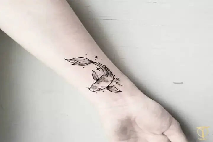 Hình Cá Chép Nhỏ Hình Cá Chép Nhỏ
